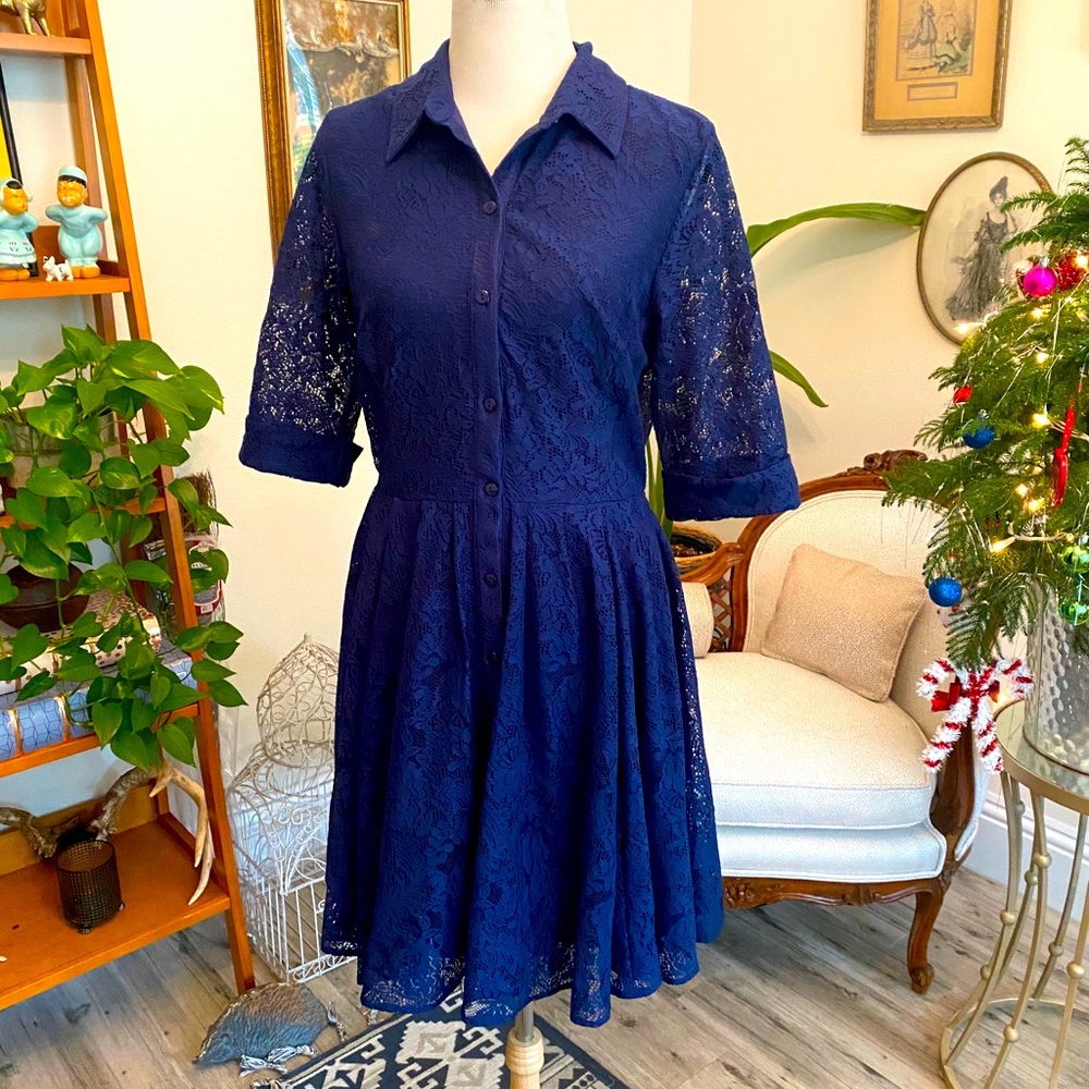 Plus size ModCloth lace swing dress